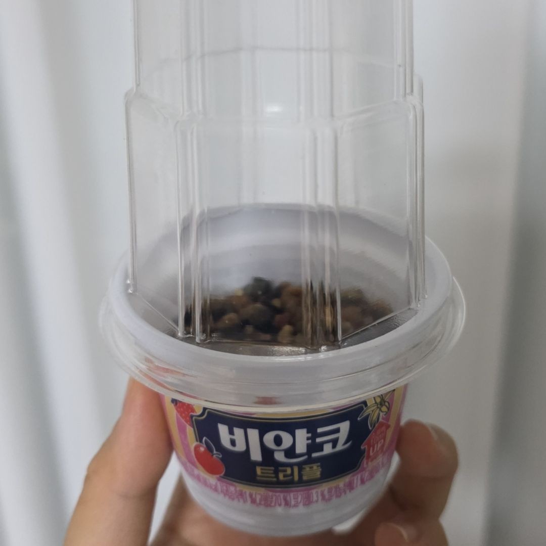 알로카시아 프라이덱를 키우는 새순조아님의 사진