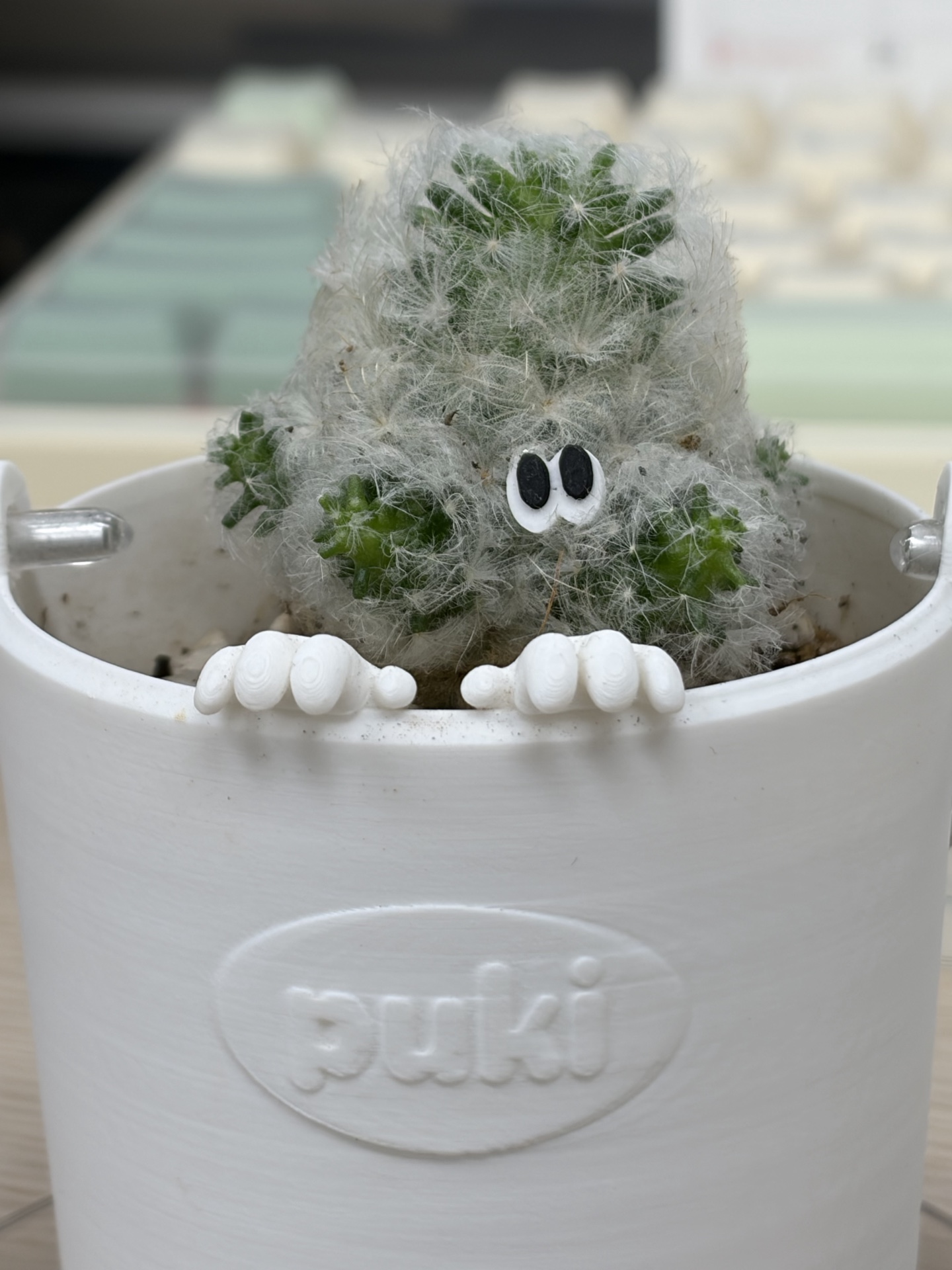 백성 사진